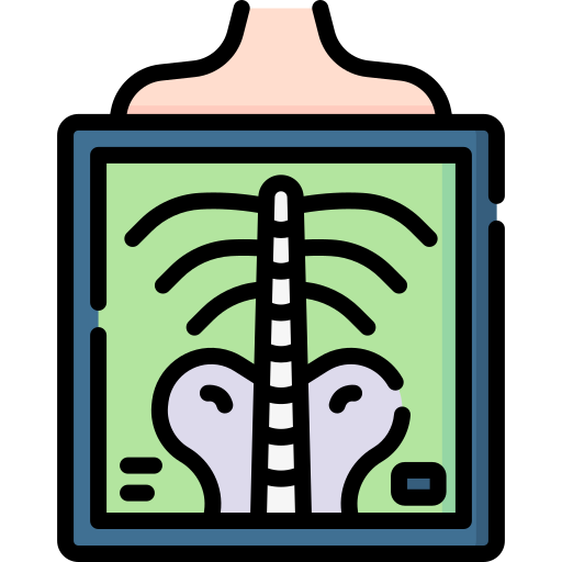 X-Ray Icon